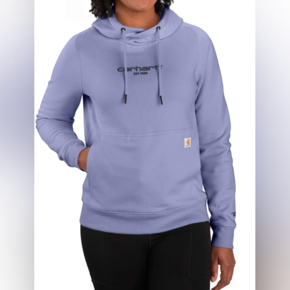 Carhartt Force® Relaxed Fit Lightweight Graphic Hoodie Size L NWOT MSRP $59.99